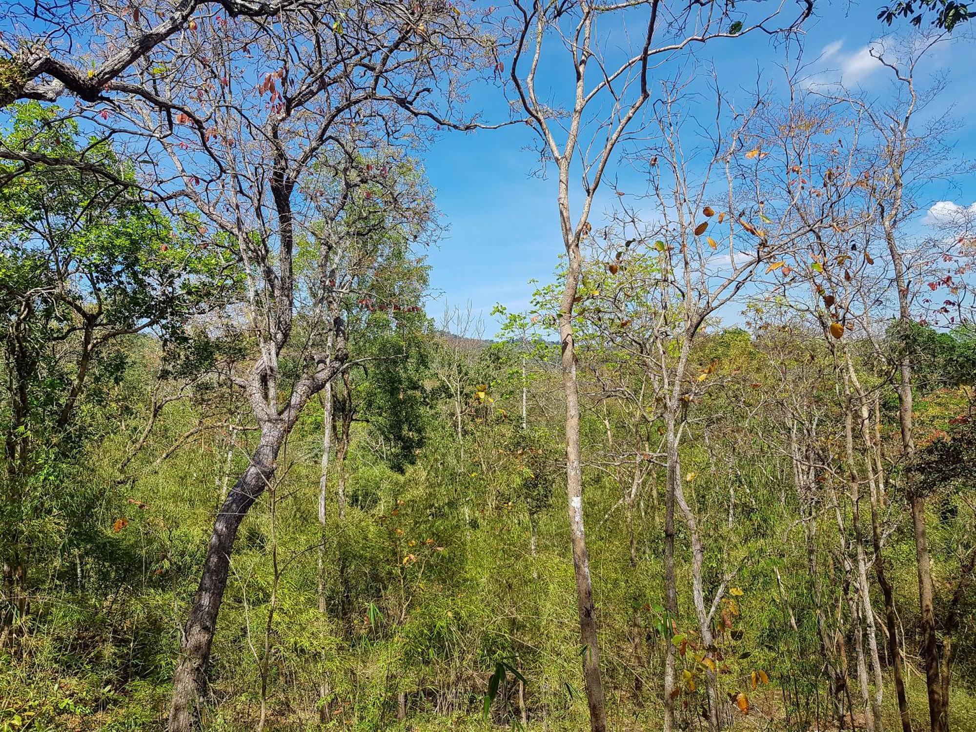 Ratanakiri Homestay & Jungle Trek Banlung Exterior foto